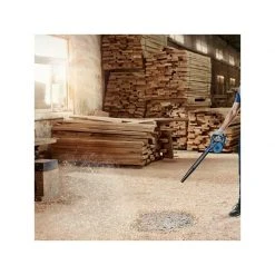 Aspiro & Souffleur BOSCH Souffleur 18V GBL18V-120 - 06019F5100 Solo -Forêt Jardin Soldes Magasin bosch souffleur 18v gbl18v 120 06019f5100 solo 4