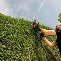 Taille Haie électrique METABO Taille Haies HS8765 560 W - 608765000 -Forêt Jardin Soldes Magasin metabo taille haies hs8765 560 w 608765000 3