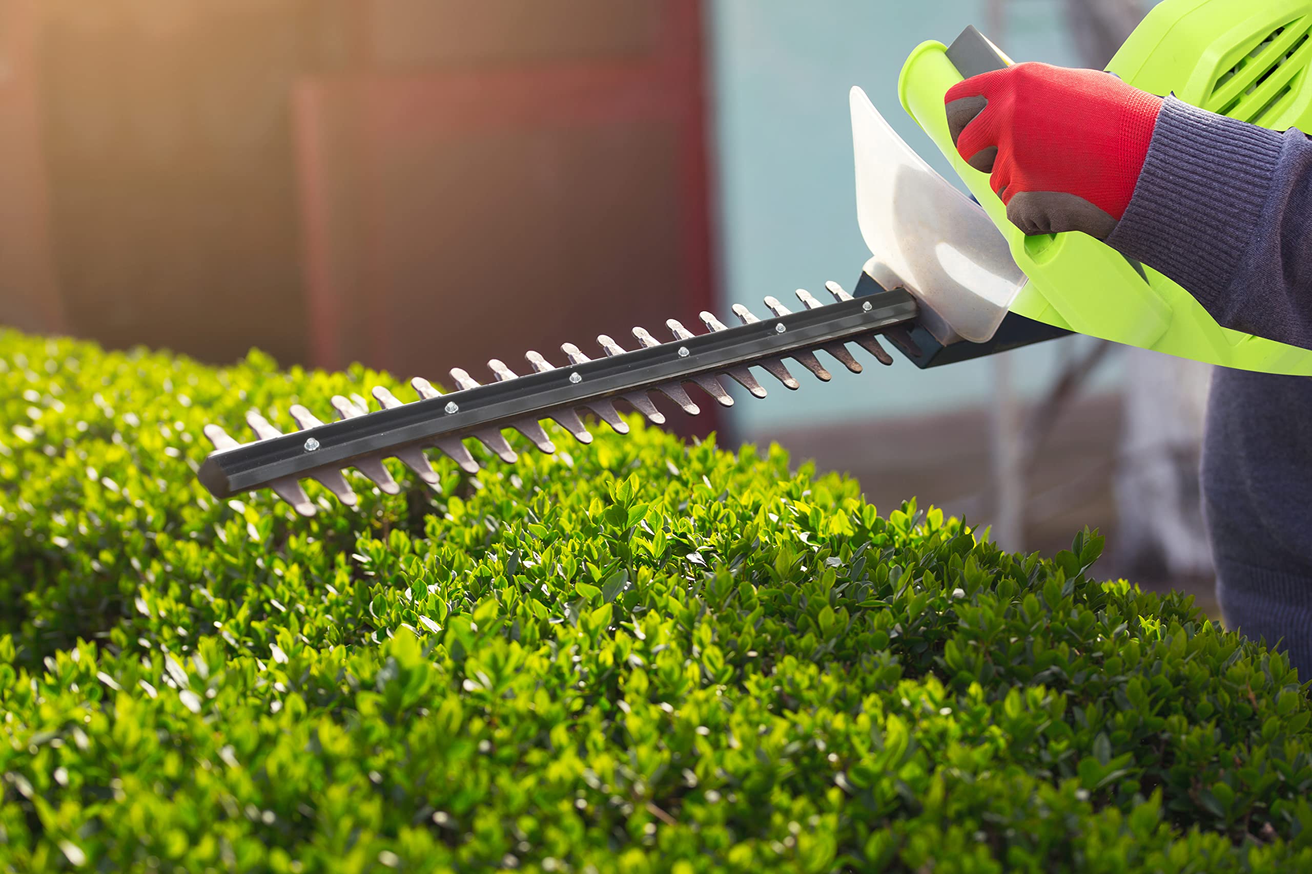 Forêt Jardin Soldes Magasin -Forêt Jardin Soldes Magasin 81VN2LfXFL